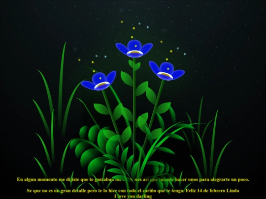 FLORES screenshot