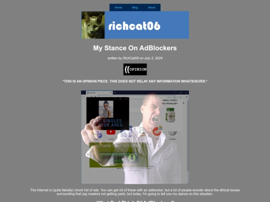 blog/adblockers screenshot