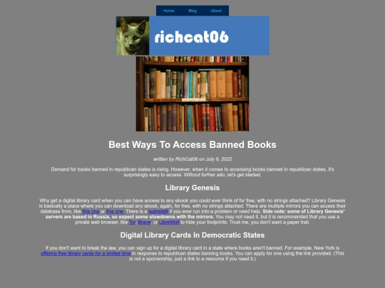 blog/bestwaystoaccessbannedbooks screenshot