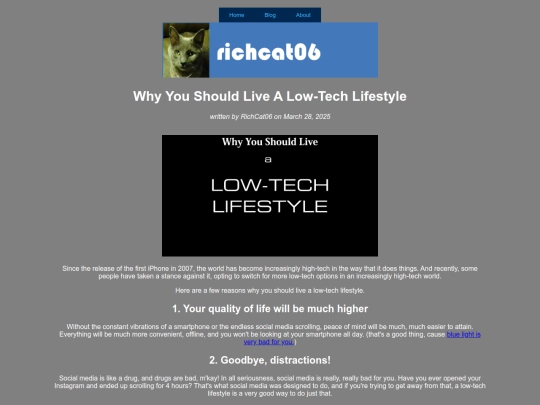 blog/whyyoushouldlivealowtechlifestyle screenshot