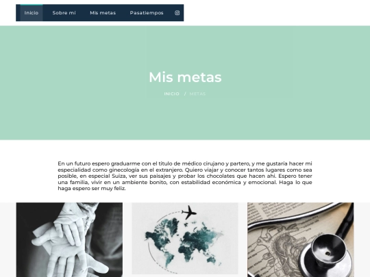 sitio personal/metas screenshot