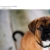 The web site of marigold avatar