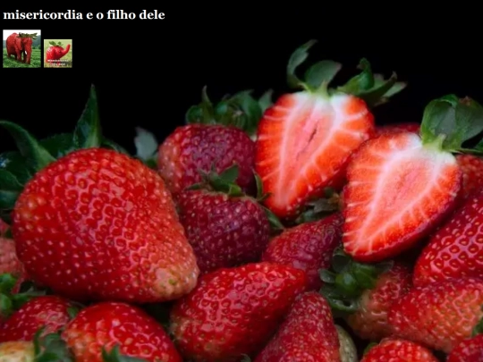 misericordia screenshot