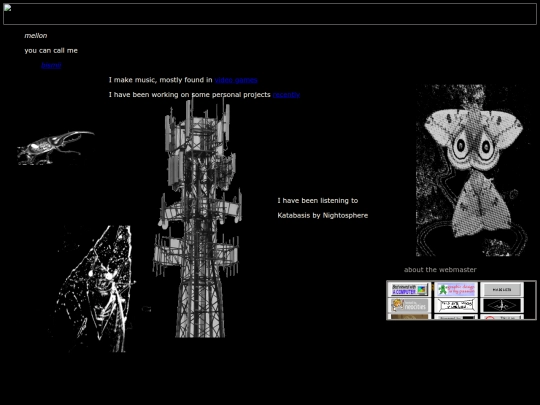 bismii's_netsphere_Home screenshot