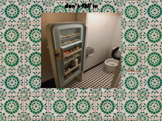 toiletgallery screenshot