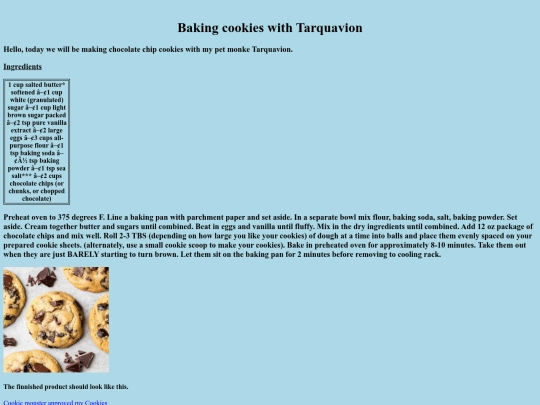Website(2)/Ishaan screenshot