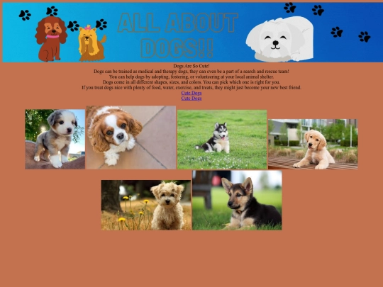 Websites/Brook's Webpage/index (13) screenshot