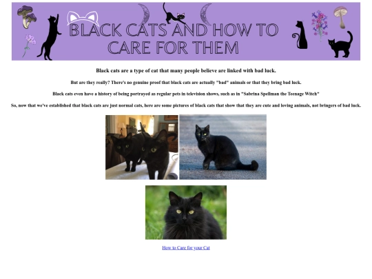 Websites/Emily's Webpage/Black Cat website 2 screenshot