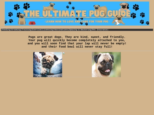 Websites/Mister Q's Webpage screenshot