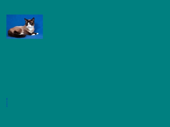 frameb screenshot