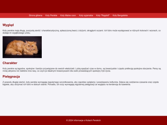 podstrona1 screenshot
