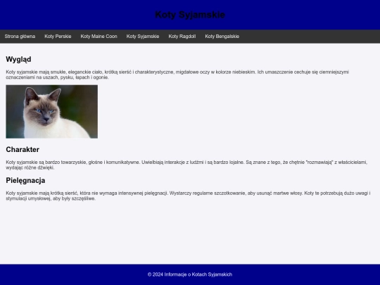 podstrona3 screenshot