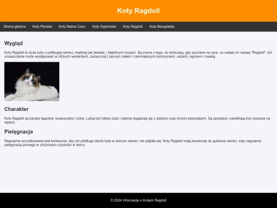 podstrona4 screenshot