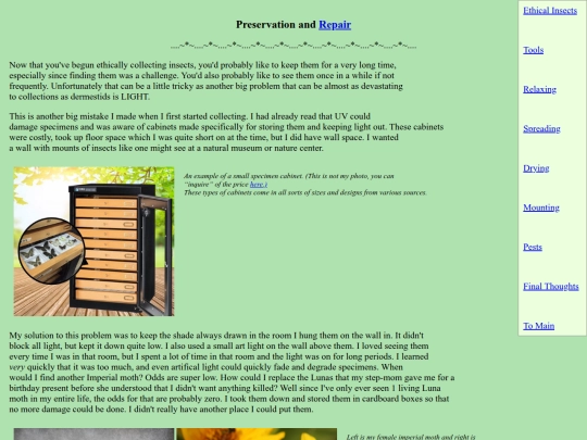ethicalinsects/insectpreserve screenshot