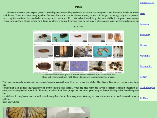 ethicalinsects/insectspests screenshot