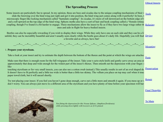 ethicalinsects/insectspread screenshot