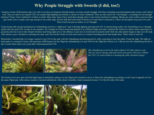 plants/aquaplants/amazonswords screenshot