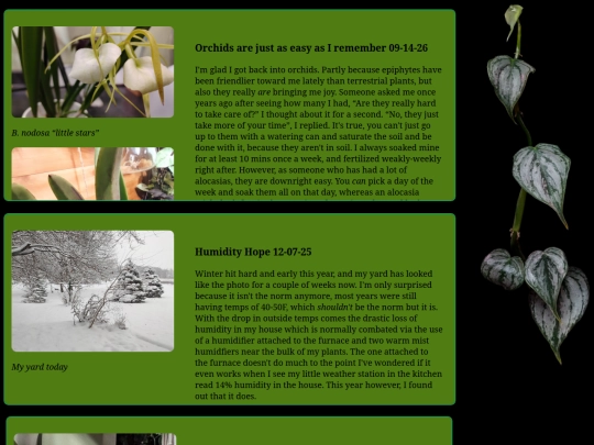 plants/plantjourn1 screenshot