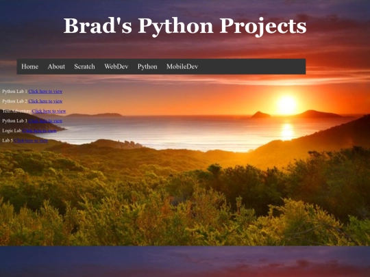 Python screenshot