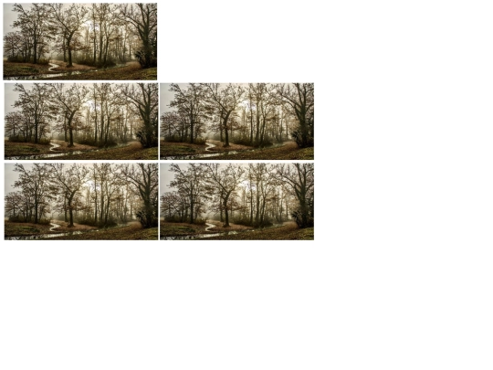 imagen/fotos screenshot