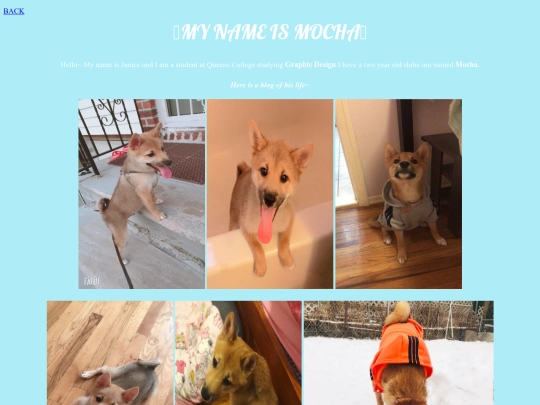 blog screenshot