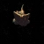 phntasmagoria.neocities.org avatar