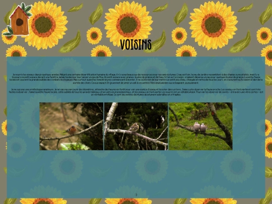galleries/voisins screenshot