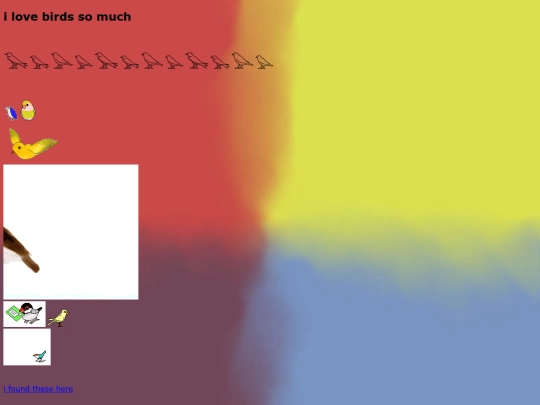 bird screenshot