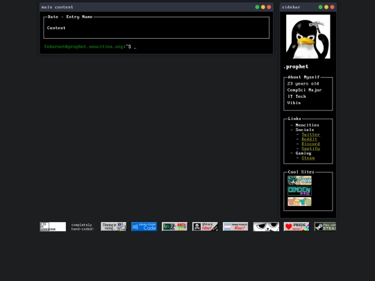 pages/entries/template screenshot