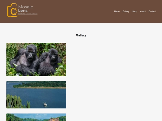 gallery screenshot