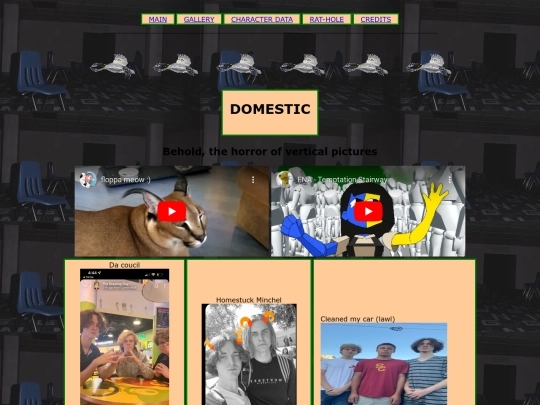 DOMESTIC screenshot