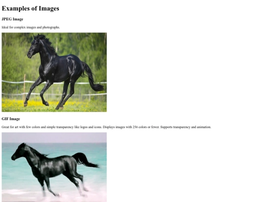 images/images-example screenshot