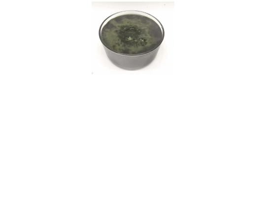 soup screenshot