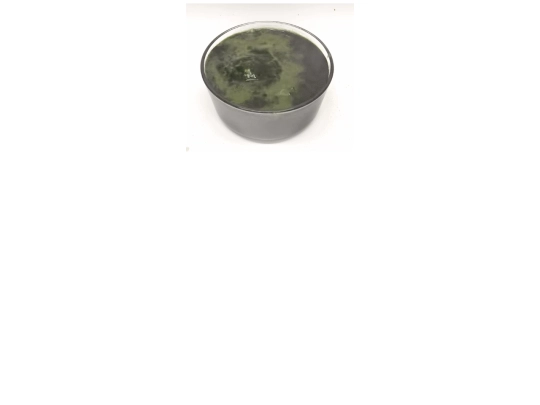 soup2 screenshot