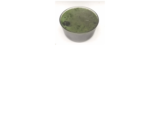 soup3 screenshot