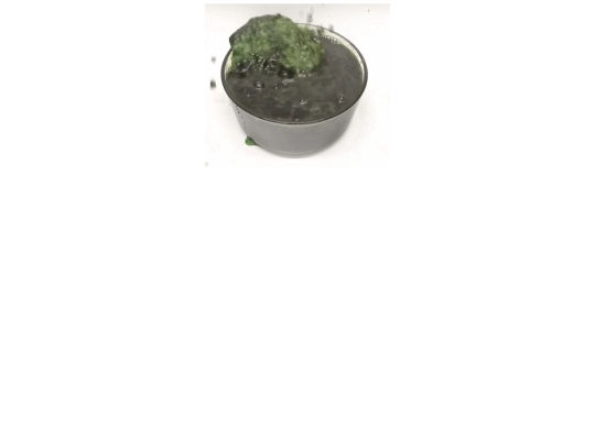 soup4 screenshot