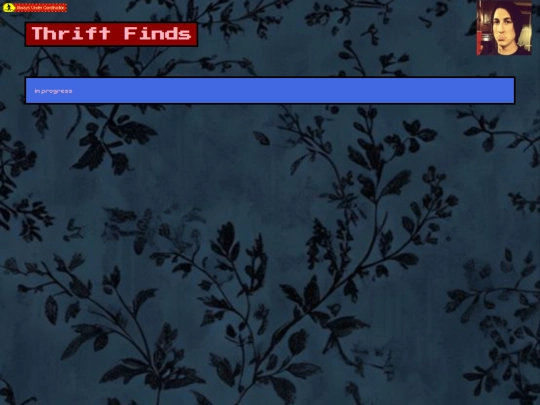 thrift-finds screenshot