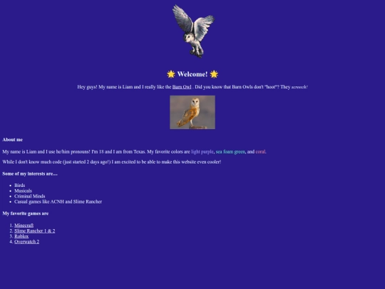 LiamSite2 screenshot
