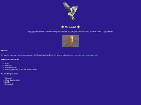 LiamsSite screenshot