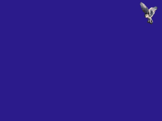 cursor2 screenshot