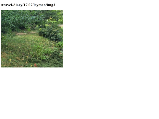 17.07leymen/img3 screenshot
