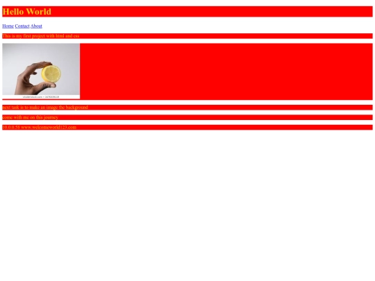 website/1st html css screenshot