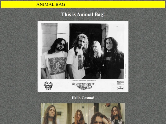 AnimalBag screenshot