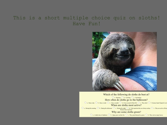 SlothMini screenshot