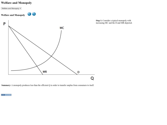 monopoly_welfare screenshot