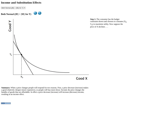 se_and_ie screenshot