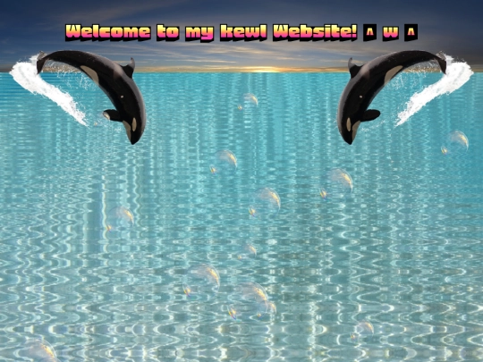 assets screenshot
