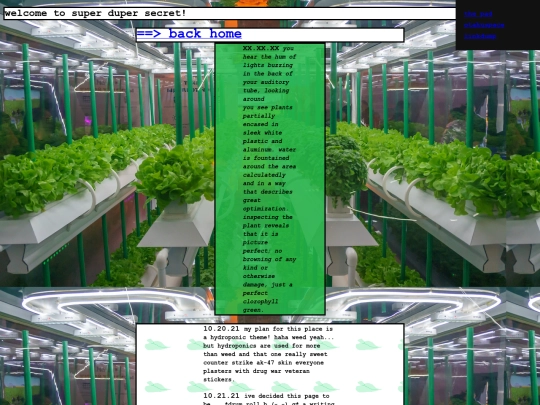 page screenshot