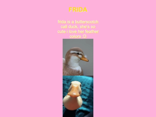 frida screenshot
