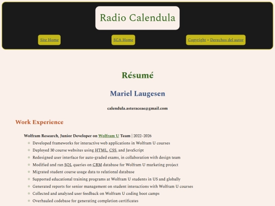 resume screenshot